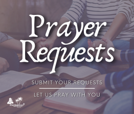 prayer requests - social